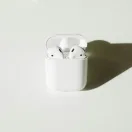 乐鱼